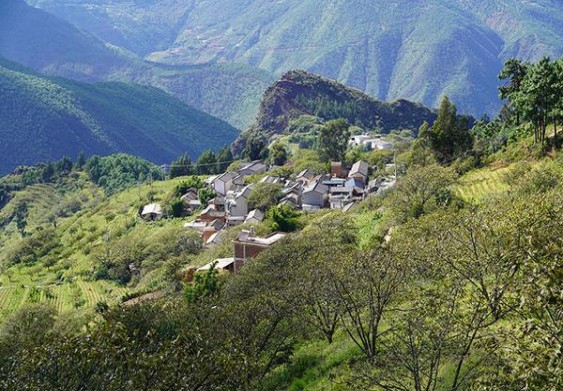 黄山大红方印价钱批发 黄山大红方印多少钱一包2024？