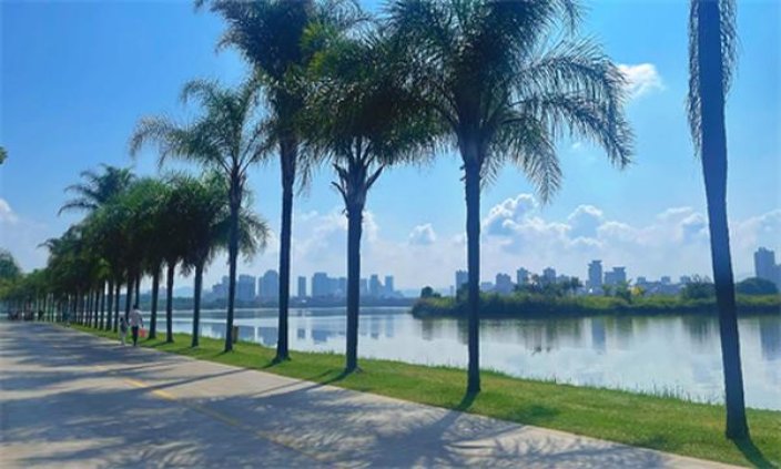 七匹狼(行天下)一手批发，七匹狼(行天下)价格表图一览表