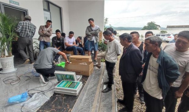 娇子(雅韵天娇)价格表和图片 娇子(雅韵天娇)价格查询 