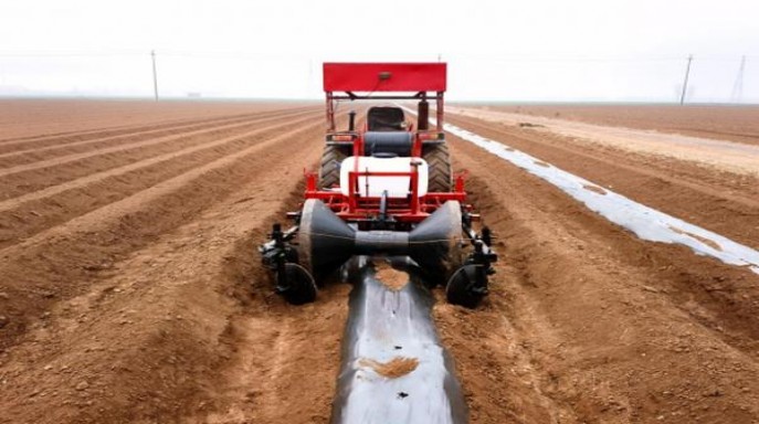 ESSE(black)香烟价格表2025 ESSE(black)批发价格是多少？