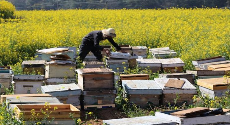 万宝路(口袋软红意大利完税版)参数详解 万宝路(口袋软红意大利完税版)香烟价格 