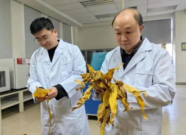 天下秀(金)香烟价格 天下秀(金)图片及价格 