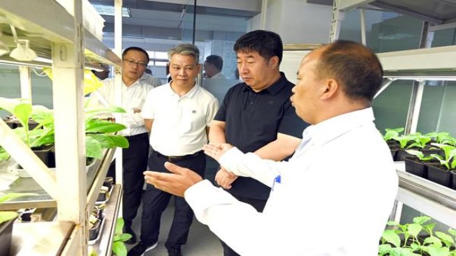 盐仓太阳版价格表和图片盐仓太阳版价格表图一览表 