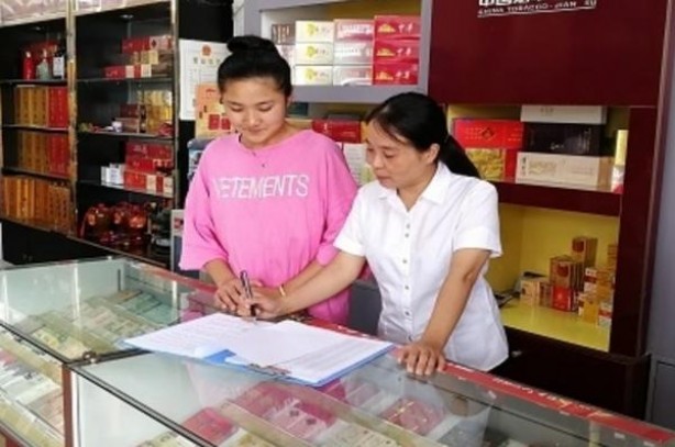 黄金叶(金尚酷)图片及价格 黄金叶(金尚酷)什么价格？