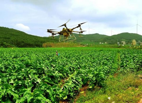 冬虫夏草黄金盛世多少钱一盒2024？冬虫夏草黄金盛世香烟价格表2024 