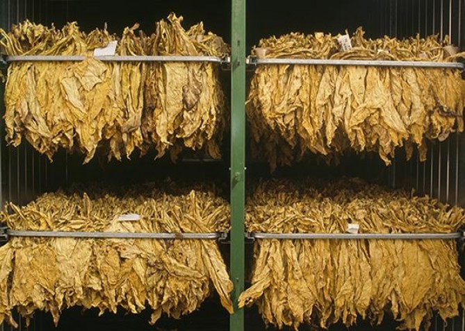 上游(硬蓝)图片及价格查询上游(硬蓝)图片及价格查询