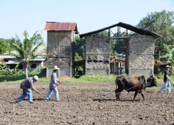 七星(软10mg日版)总仓批发，七星(软10mg日版)香烟价格表2024