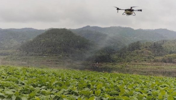 骆驼(硬蓝土耳其免税版)一手批发，骆驼(硬蓝土耳其免税版)多少钱一包？