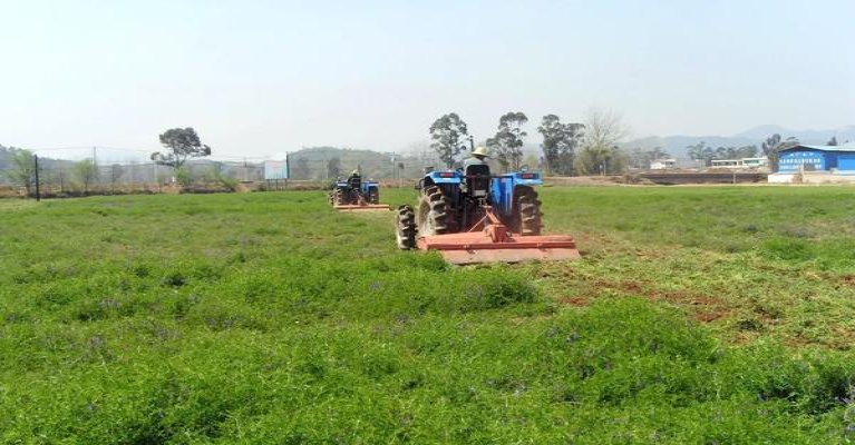 黄山红方印1755价格表一览 黄山红方印1755价格表图一览表 