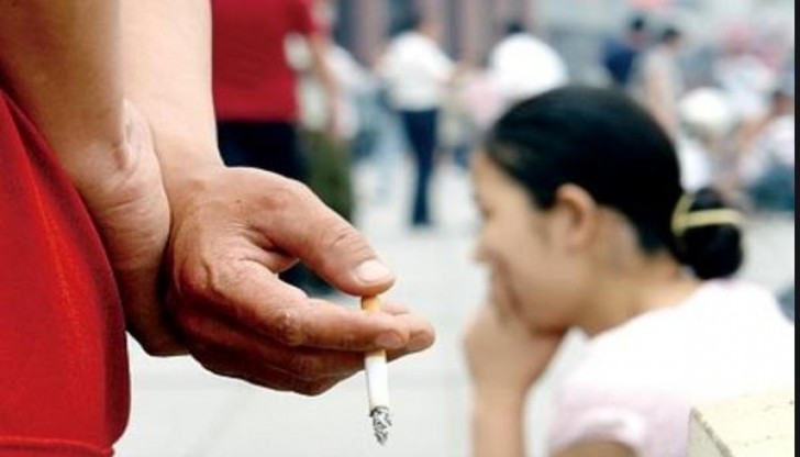 黄果树典藏批发价格是多少？黄果树典藏什么价格？