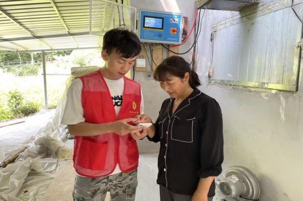 黄金叶名扬天下价钱批发 黄金叶名扬天下价格表和图片