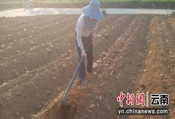 白沙红运当头多少钱一盒？白沙红运当头多少钱一包？