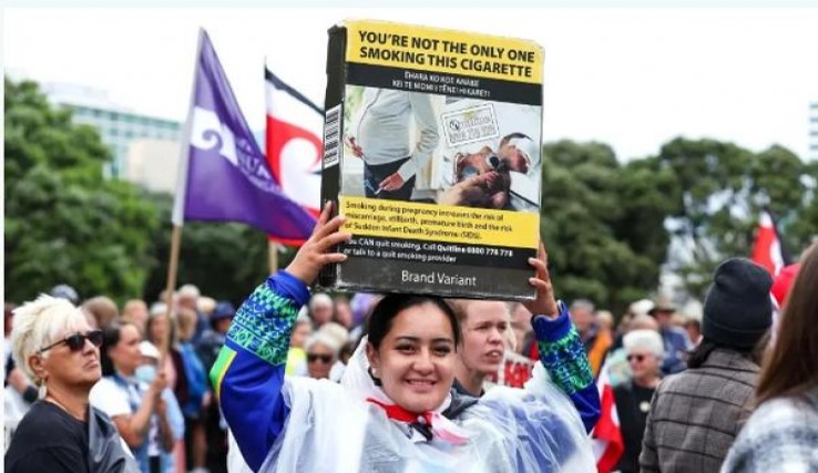 泰山(瀞十)多少钱一包？泰山(瀞十)多少钱一包2025？