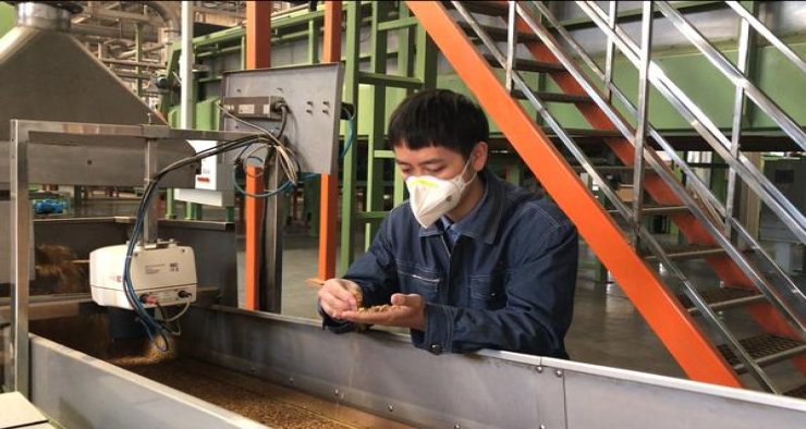 娇子(硬龙凤世纪朝)价格表一览 娇子(硬龙凤世纪朝)图片及价格 