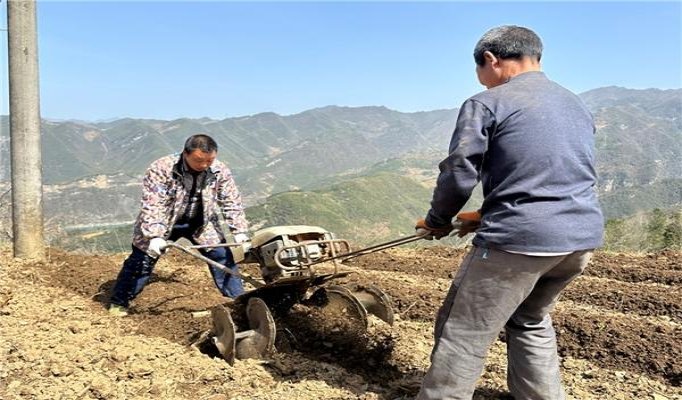 狮牌阆苑传奇香烟价格表2024 狮牌阆苑传奇价钱批发 