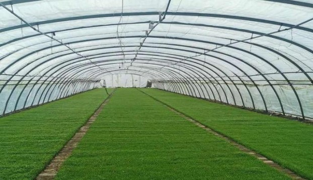 万宝路(边缘二代美税版)什么价格？万宝路(边缘二代美税版)多少钱一盒？