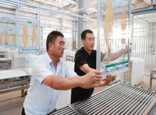 卡比龙总裁亚太精装版什么价格？卡比龙总裁亚太精装版价钱批发 