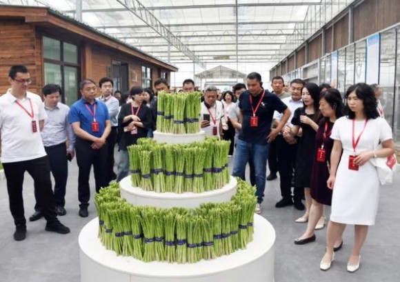 万宝路硬红瑞典免税版价格表一览 万宝路硬红瑞典免税版什么价格？