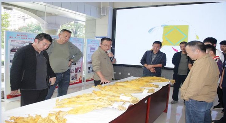 长城(导师2号)价格表一览 长城(导师2号)价格表图一览表 