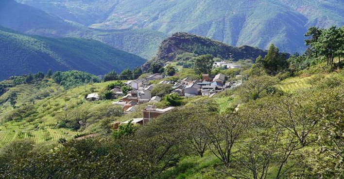 泰山战神枪出如龙价格表图一览表 泰山战神枪出如龙香烟价格表2024 
