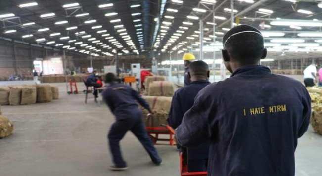 金圣(尚品·井冈山)批发多少钱？金圣(尚品·井冈山)多少钱一盒2024？