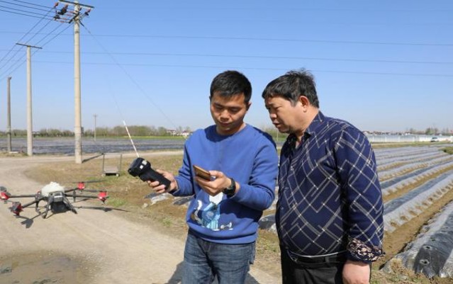 黄金叶豫香什么价格？黄金叶豫香批发价格是多少？