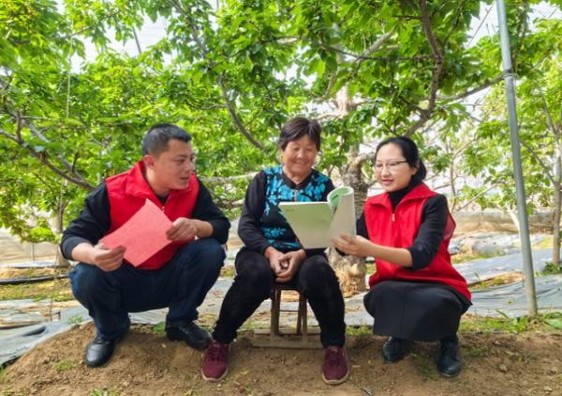 爱喜草莓韩版价钱批发 爱喜草莓韩版什么价格？