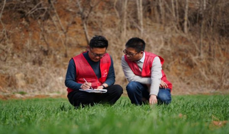 KOOL(Looped 8 超细支日版)厂家批发，KOOL(Looped 8 超细支日版)多少钱一盒2024？