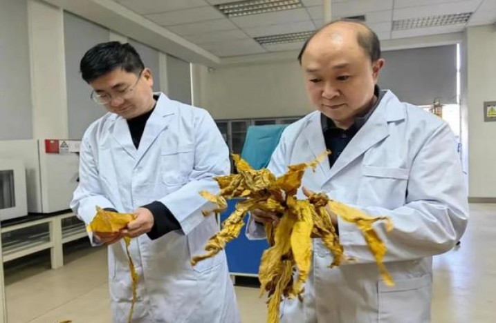 利群(长嘴AUS)批发价格是多少？利群(长嘴AUS)多少钱一盒2025？