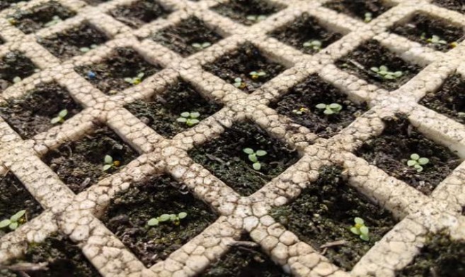 007(柔和软巴拉圭版)香烟价格 007(柔和软巴拉圭版)价格查询 