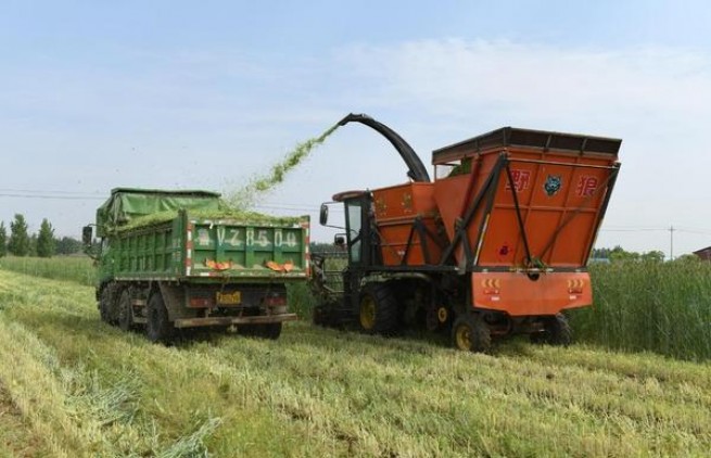 中华硬澳门版香烟价格表2024 中华硬澳门版价格表一览 