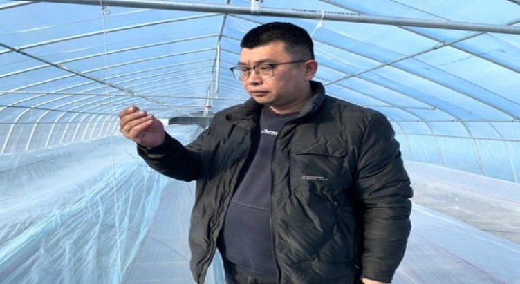 ZEST酸奶侧推价钱批发 ZEST酸奶侧推批发价格是多少？