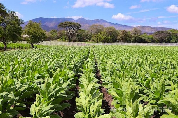 中华(5000出口欧盟版)参数详解 中华(5000出口欧盟版)价格表一览 