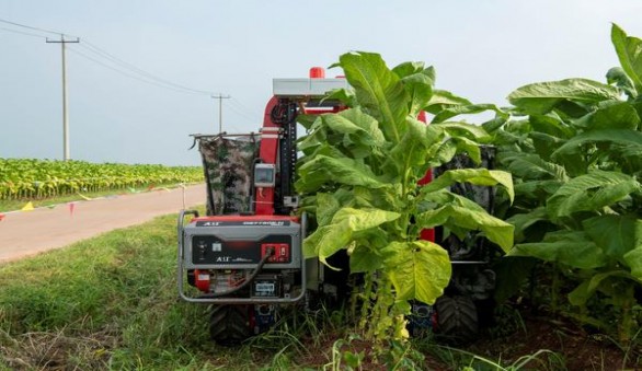 大卫杜夫(金特醇韩版)香烟价格 大卫杜夫(金特醇韩版)价格表一览 