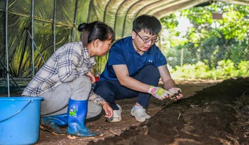 黄鹤楼(雪之景2号)香烟价格表2025 黄鹤楼(雪之景2号)什么价格？