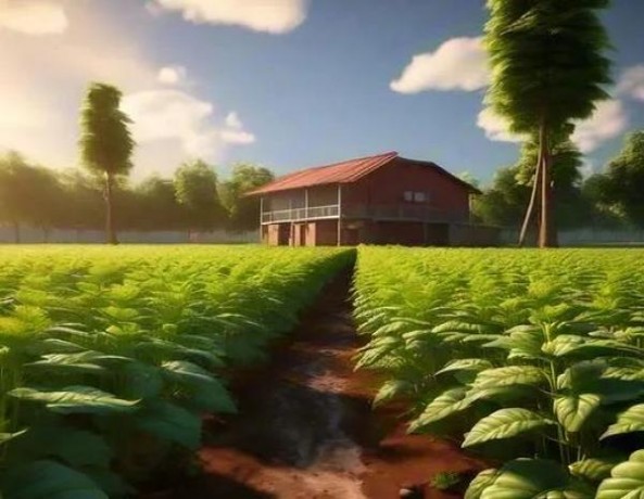 希尔顿淡味薄荷 金多少钱一盒？希尔顿淡味薄荷 金香烟价格表2024 