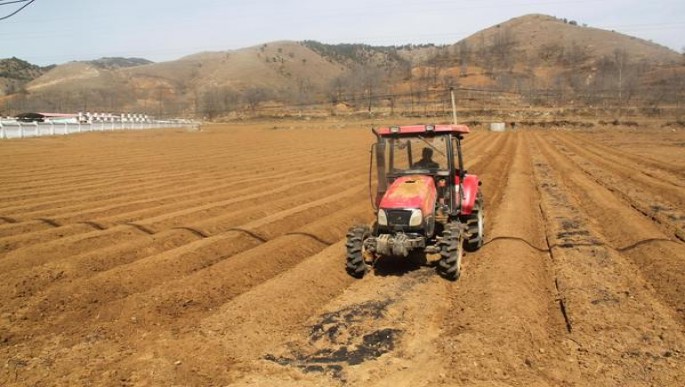 万宝路中醇绿美国加税版香烟价格表2024 万宝路中醇绿美国加税版多少钱一盒？