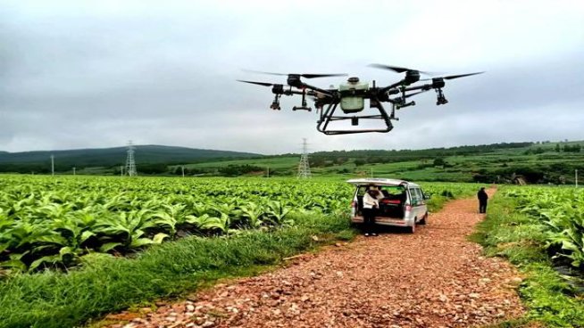 好猫(细支长乐吉祥)拿货价格，好猫(细支长乐吉祥)价格表一览