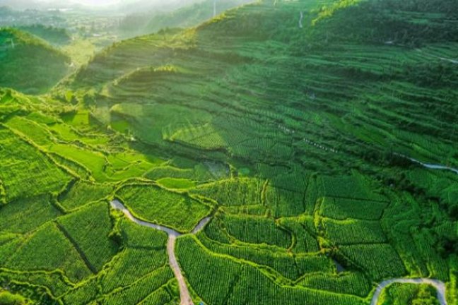 头条！香烟一手货源平台优惠价格“百年不遇”