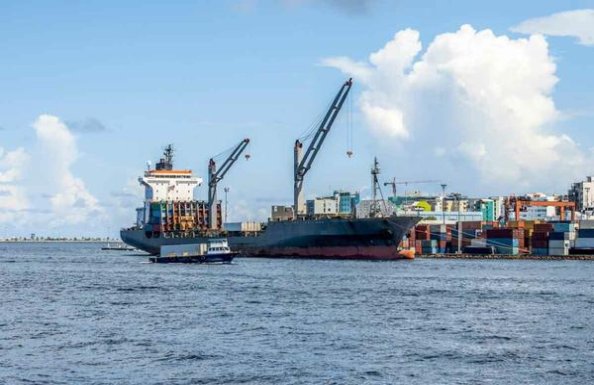 王子(极淡2003丹麦限量版)厂家渠道，王子(极淡2003丹麦限量版)批发价格是多少？