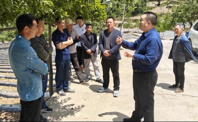 黄鹤楼(软珍品)批发多少钱？黄鹤楼(软珍品)批发价格是多少？