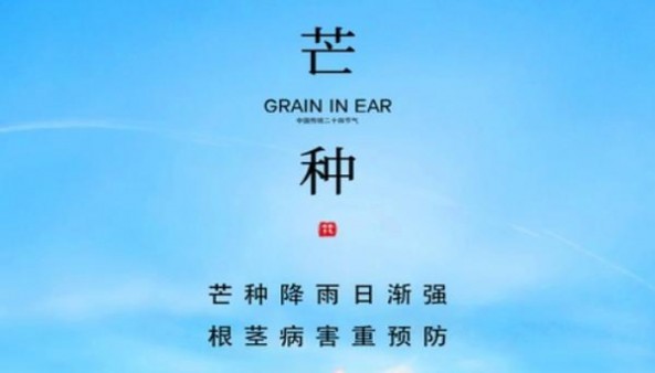 万宝路硬白薄荷爆珠南非加税版多少钱一盒2024？万宝路硬白薄荷爆珠南非加税版多少钱一盒？