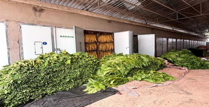 双喜(红火好日子)批发多少钱？双喜(红火好日子)批发价格是多少？