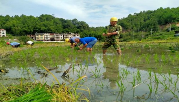 哈尔滨(龙烟金安)批发多少钱？哈尔滨(龙烟金安)价格查询