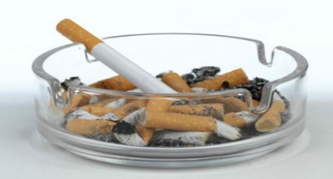 云雀LARK薄荷1mg细支日版多少钱一盒？云雀LARK薄荷1mg细支日版价格查询 