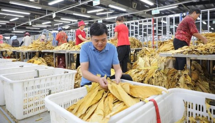 国王(薄荷中醇100S菲律宾版)图片及价格查询国王(薄荷中醇100S菲律宾版)价格查询 