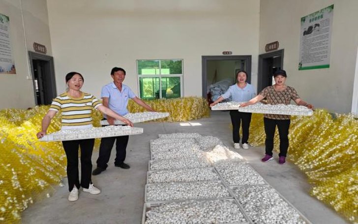 中华(5000澳门版)批发，中华(5000澳门版)价格表图一览表
