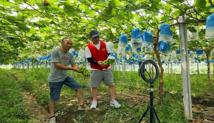 惊现！正品外烟批发代购网站“精金良玉”