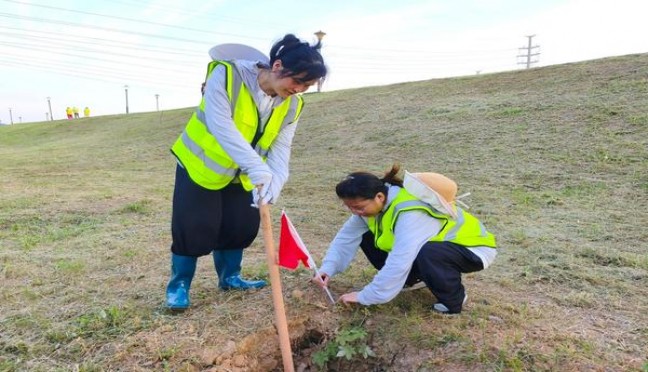 娇子(宽窄逍遥)厂家渠道，娇子(宽窄逍遥)批发价格是多少？