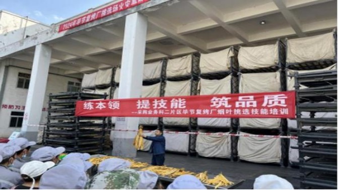铁塔猫(酸橙莫吉托)批发，铁塔猫(酸橙莫吉托)多少钱一盒？